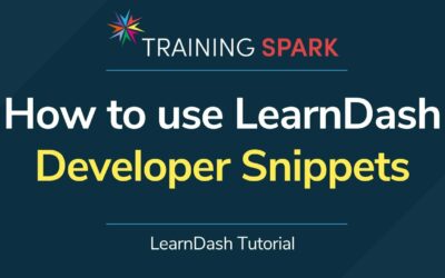 How to use Developer Snippets in LearnDash
